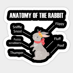 Anatomy of the Rabbit Sticker